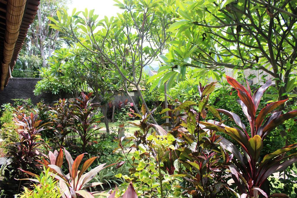Pondok Shindu Guest House Pemuteran Exteriör bild